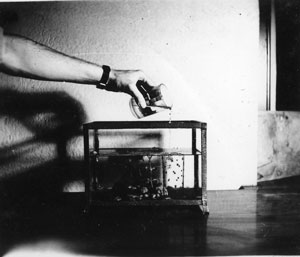 Biology Lab, 1930s 